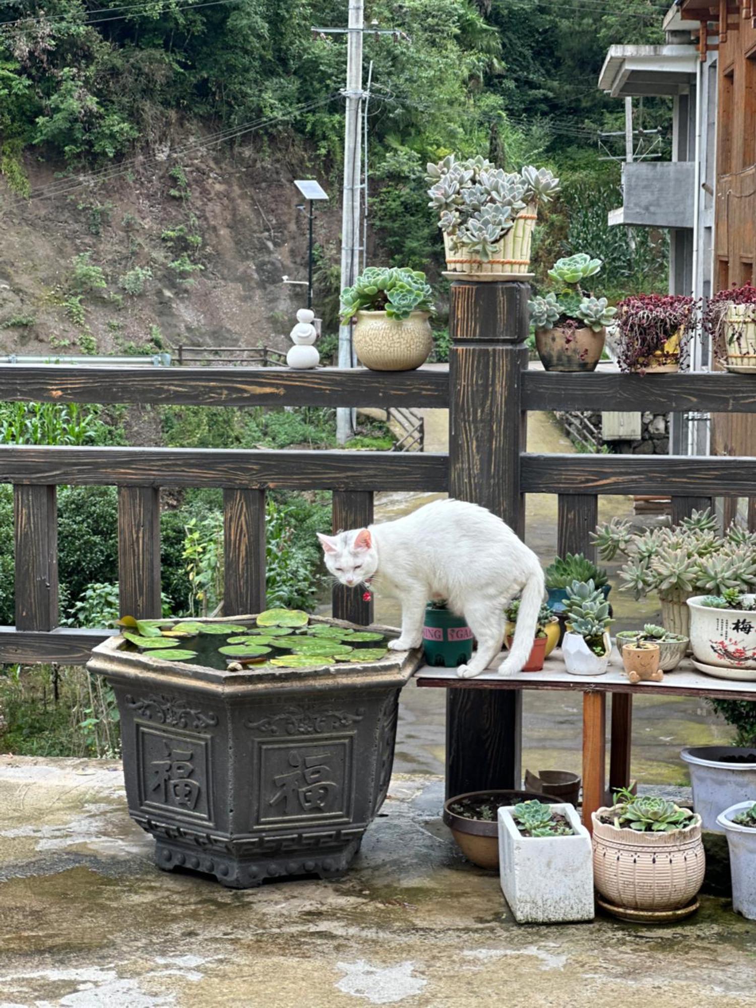 Tongfu Inn Čang-ťia-ťie Exteriér fotografie