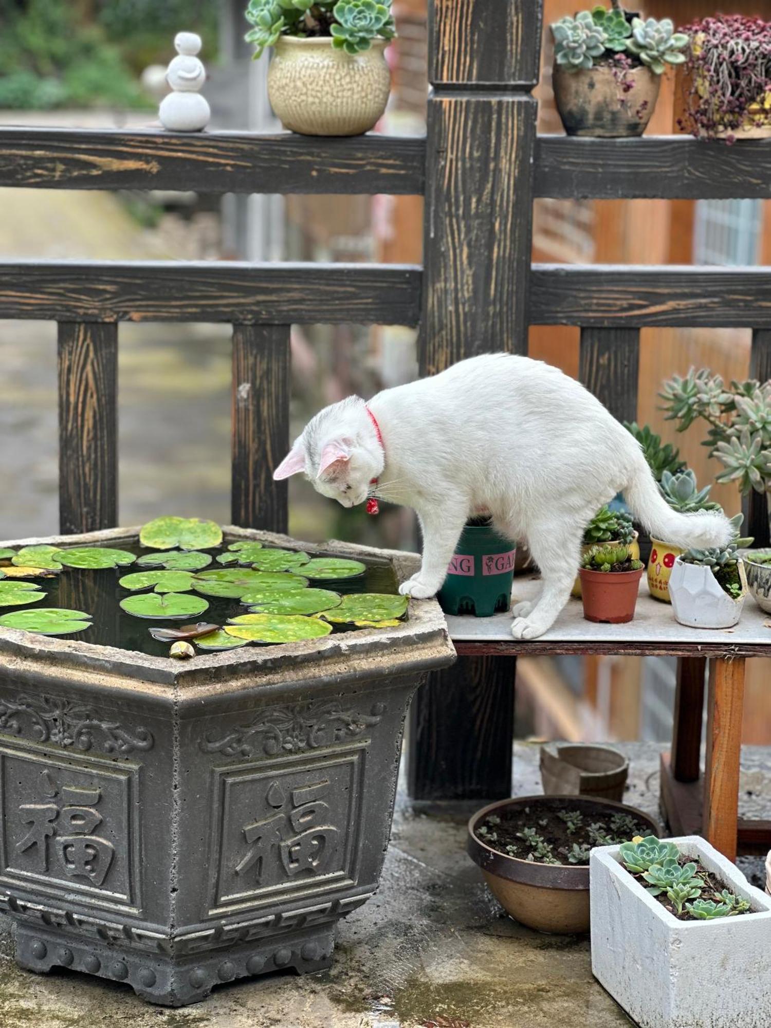 Tongfu Inn Čang-ťia-ťie Exteriér fotografie